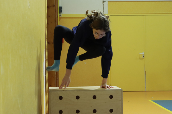 Présentation de la discipline